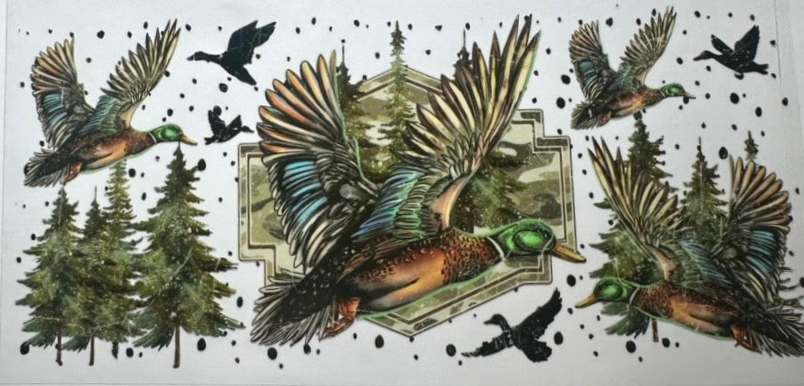 Animals 31