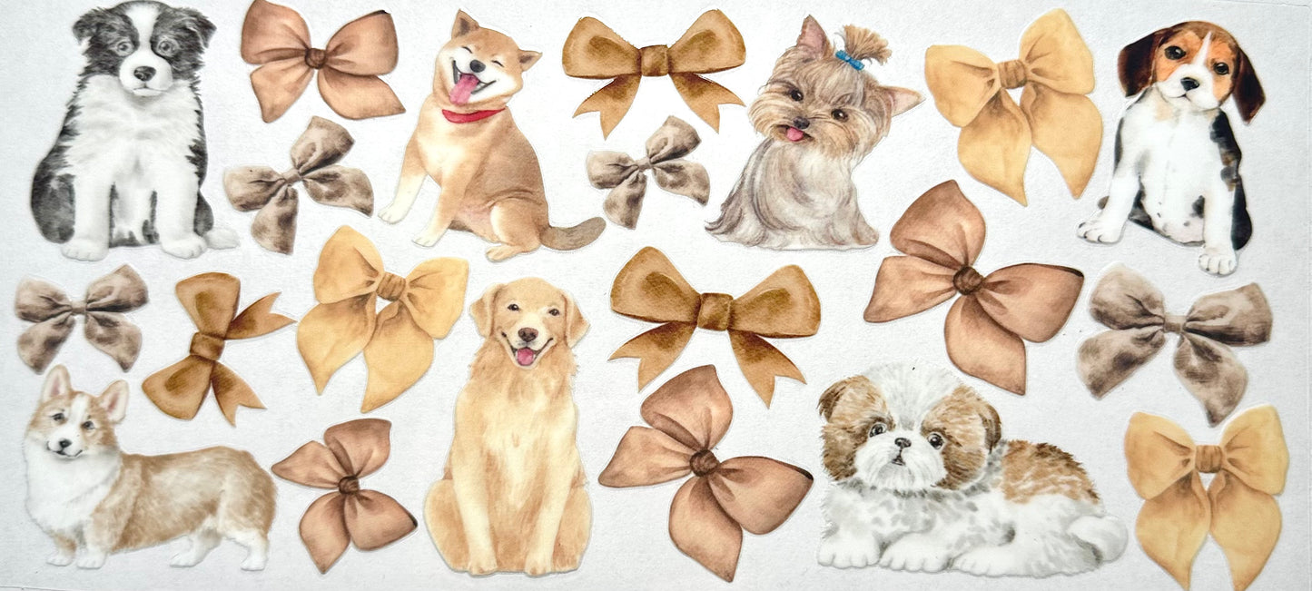 Dogs