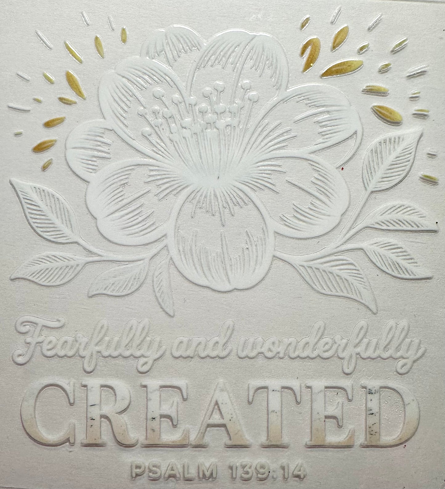 Fearfully an Wonderfully Created