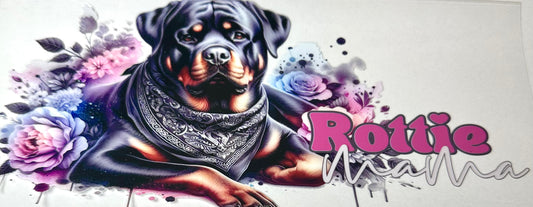 Animals 14