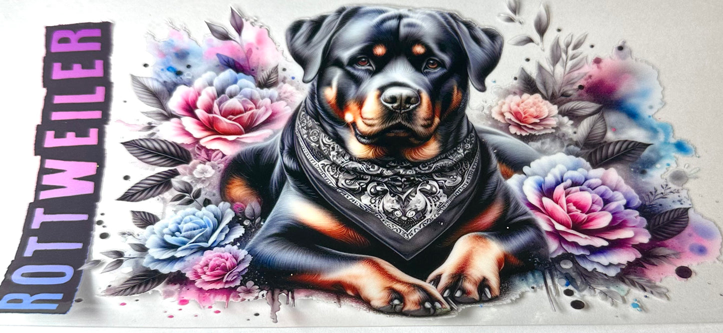 Animals 13