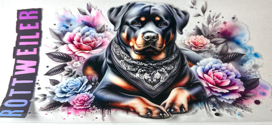 Animals 13