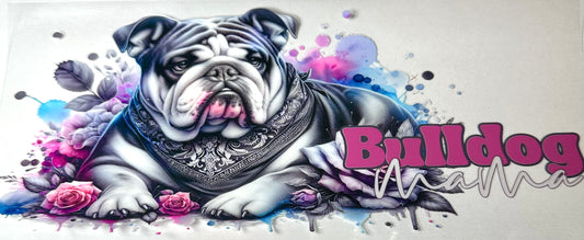 Animals 12