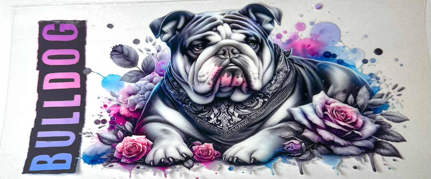 Animals 11