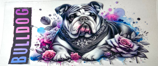 Animals 11