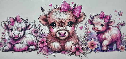 Animals 37