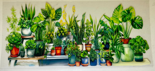 Plants