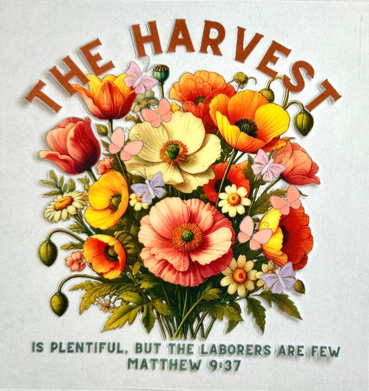 The Harvest Is Plentiful
