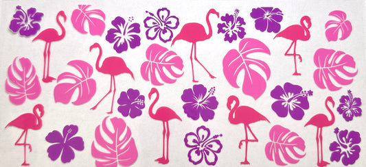 Flamingos