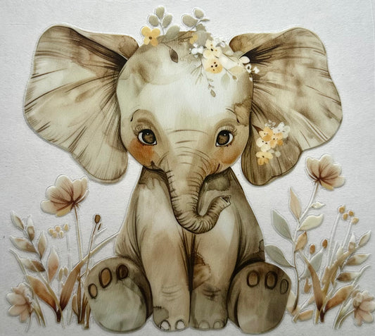 Baby Elephant