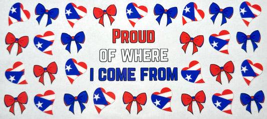 Proud of Where I Come From Puerto Rico
