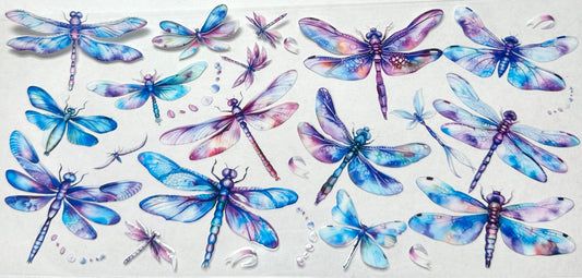 Dragonflies