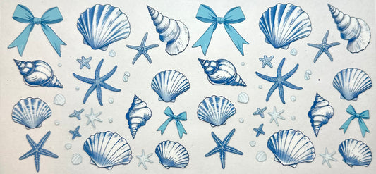Ocean Shells
