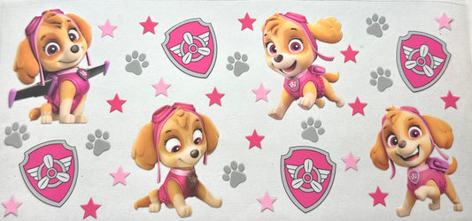Paw Patrol Sky